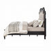 ACME Haiden EK Bed W/Led & Storage - Bed & Sofa Hub