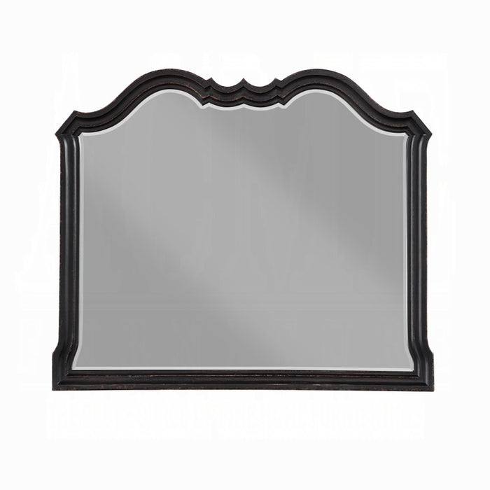 ACME Chelmsford Mirror - Bed & Sofa Hub
