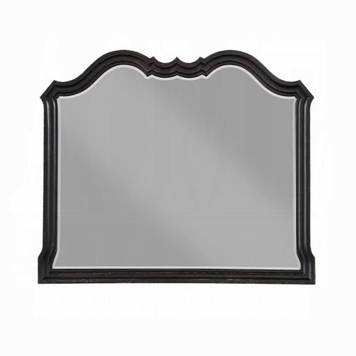 ACME Chelmsford Mirror - Bed & Sofa Hub