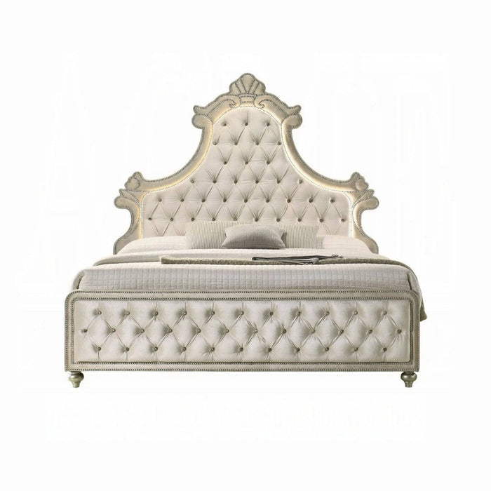 ACME Lucienne Queen Bed W/LED - Bed & Sofa Hub