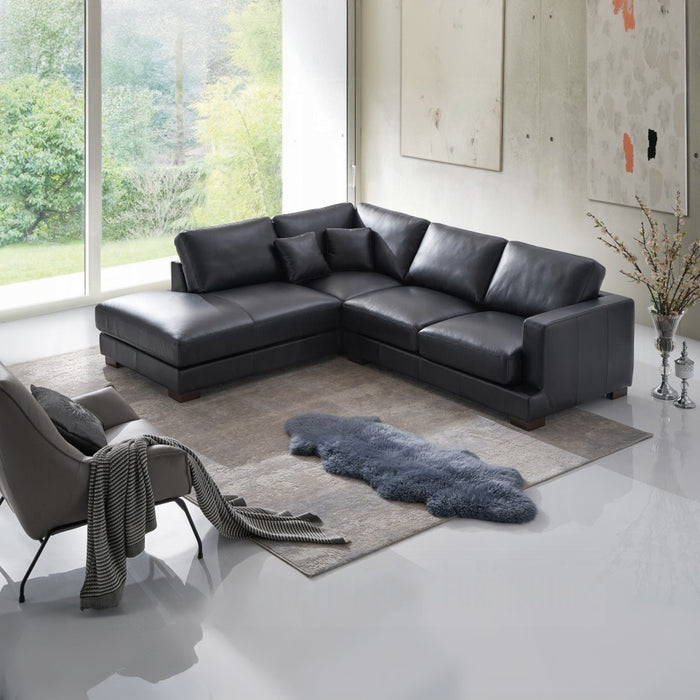 ACME Geralyn Sectional Sofa W/2 Pillows - Bed & Sofa Hub